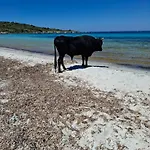 De Lozari Holiday home Belgodere (Corsica)