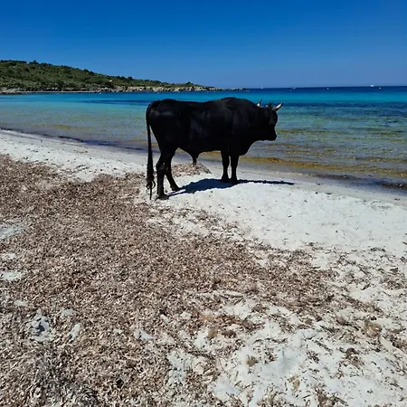 De Lozari Tatil Evi Belgodère
