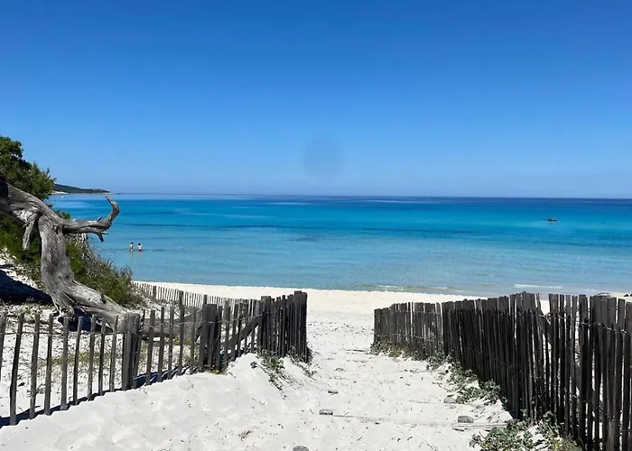 De Lozari Holiday home Belgodere (Corsica)